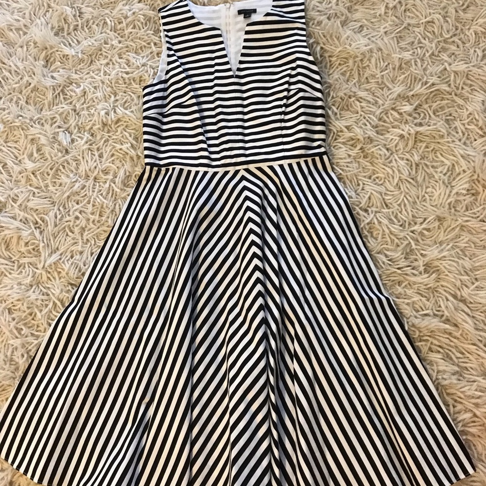 Zara Basic Womens Tulip Skater Mini Dress